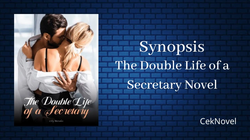 The Double Life of a Secretary Novel