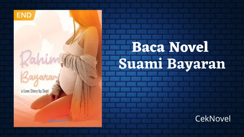 novel suami bayaran