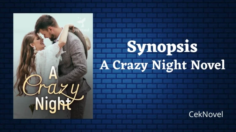 A Crazy Night Novel