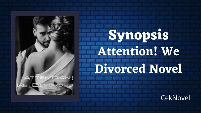 Attention! We Divorced Novel