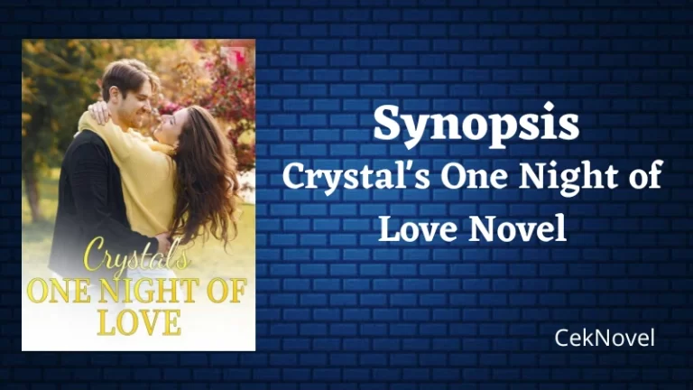 Crystals One Night of Love Novel