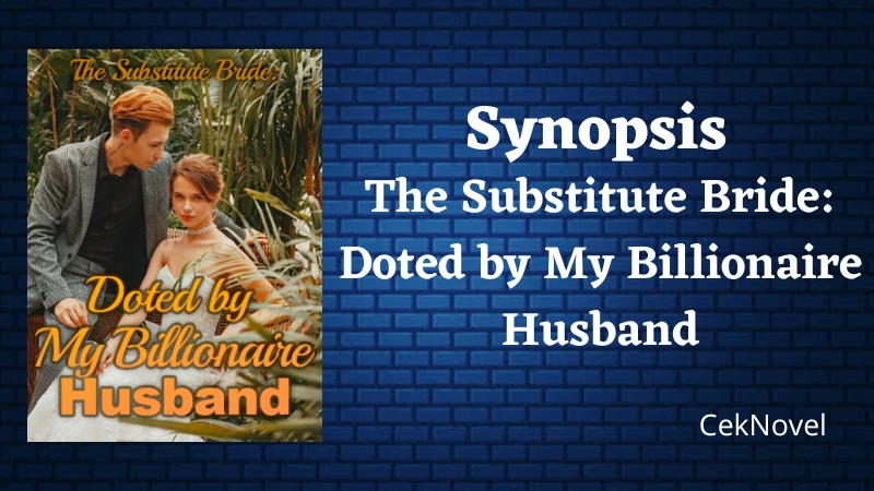 Doted by My Billionaire Husband Novel