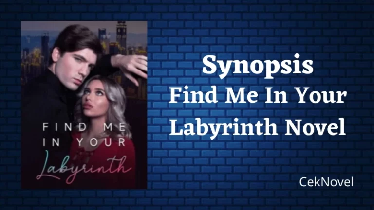 Find Me In Your Labyrinth Novel