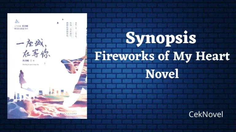 Fireworks of My Heart Novel