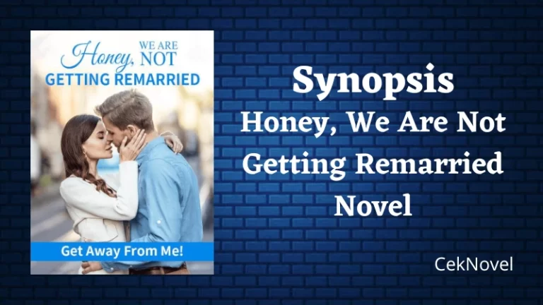 Honey, We Are Not Getting Remarried: Get Away From Me! Novel