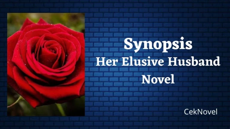 Her Elusive Husband Novel