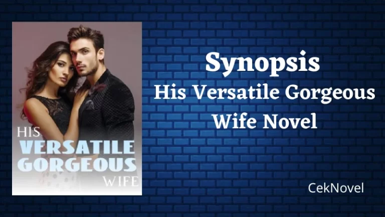 His Versatile Gorgeous Wife Novel