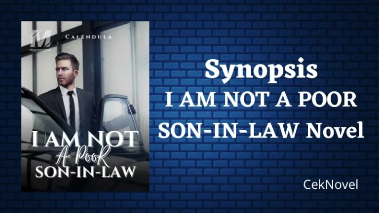 I AM NOT A POOR SON-IN-LAW Novel