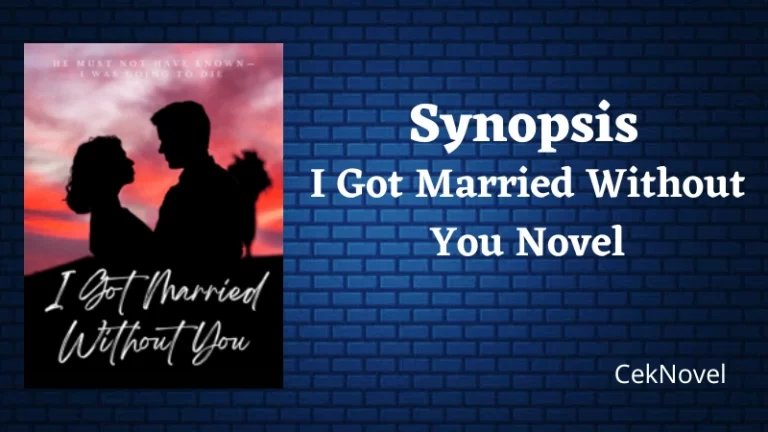 I Got Married Without You Novel