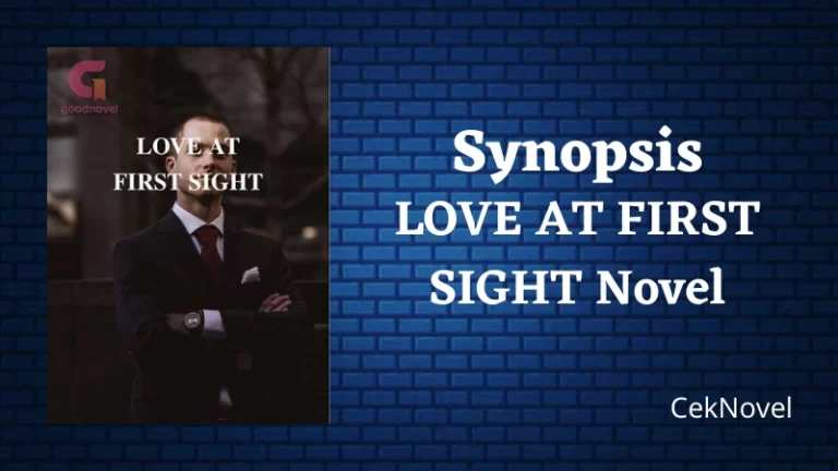 LOVE AT FIRST SIGHT Novel