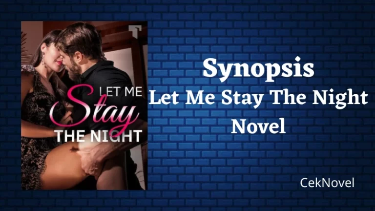 Let Me Stay The Night Novel