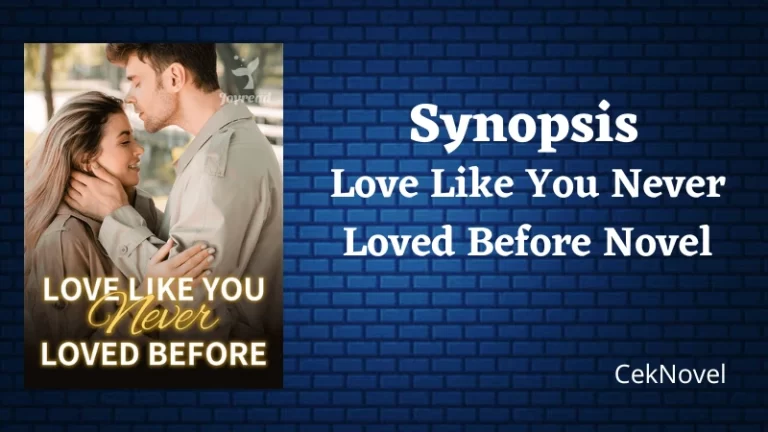 Love Like You Never Loved Before Novel