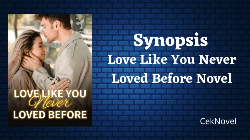 Love Like You Never Loved Before Novel
