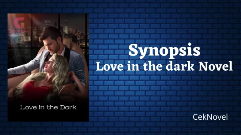 Love in the dark Novel