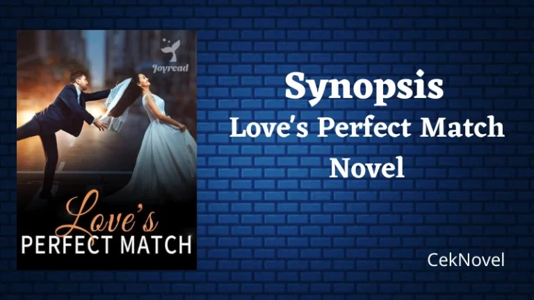 Loves Perfect Match Novel