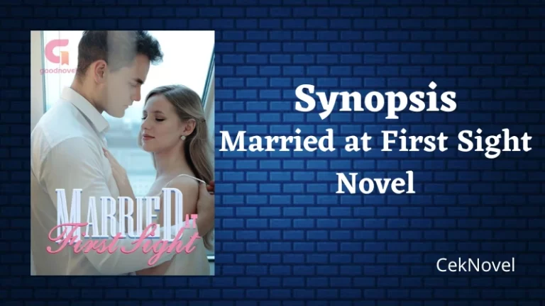 Married at First Sight Novel