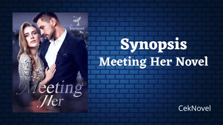 Meeting Her Novel