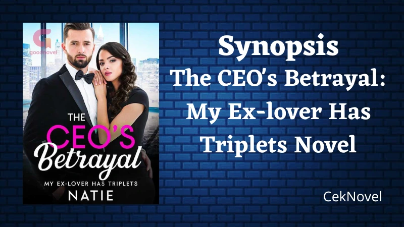 The CEO's Betrayal: My Ex-lover Has Triplets Novel