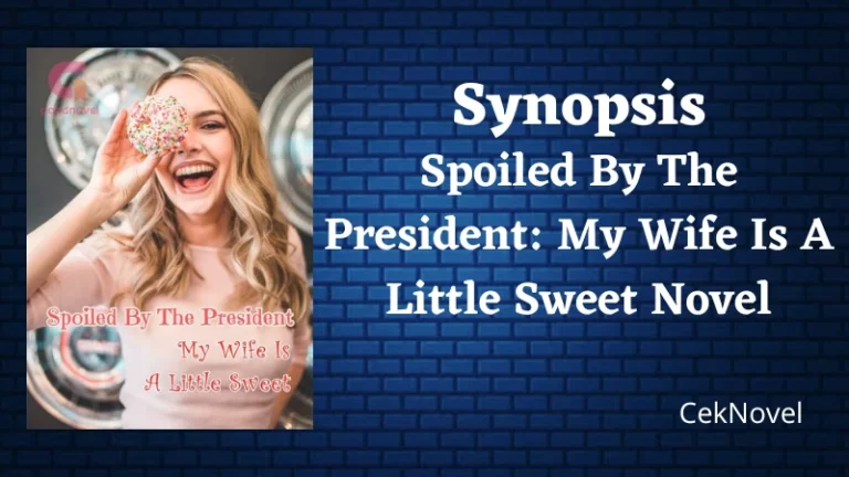 My Wife Is A Little Sweet Novel