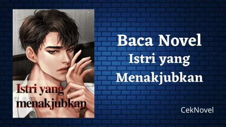 Novel Istri yang Menakjubkan