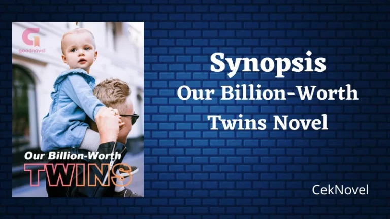 Our Billion Worth Twins Novel