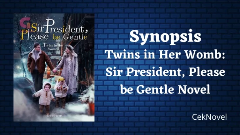 Twins in Her Womb: Sir President, Please be Gentle Novel