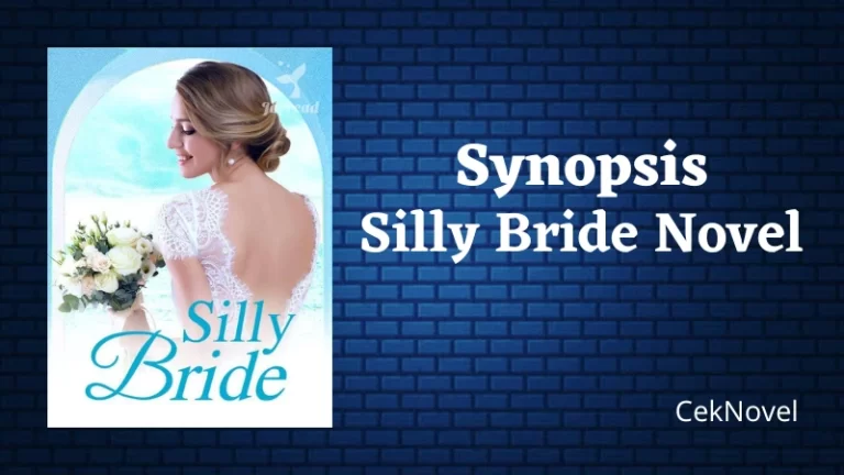 Silly Bride Novel