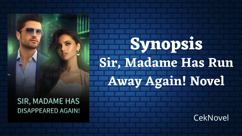 Sir Madame Has Run Away Again Novel