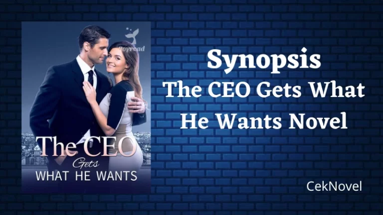 The CEO Gets What He Wants Novel