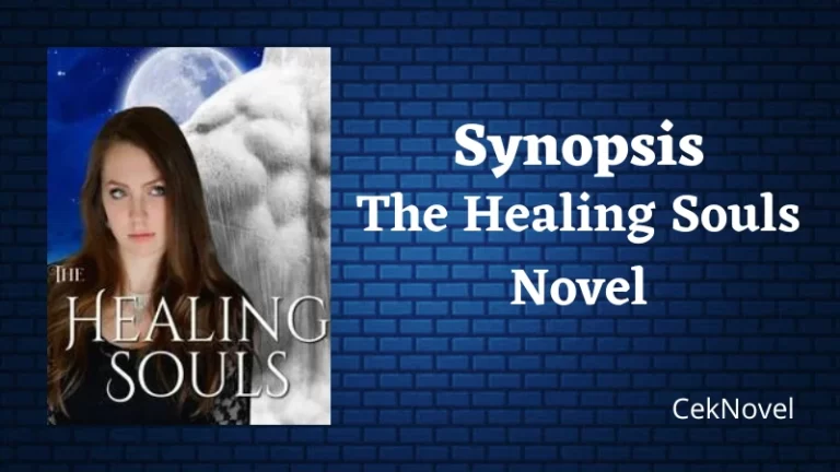 The Healing Souls Novel