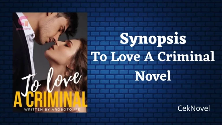 To Love A Criminal Novel