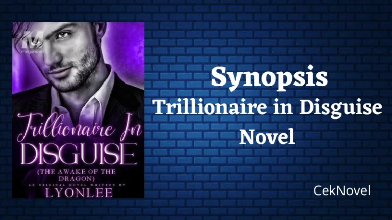 Trillionaire in Disguise Novel