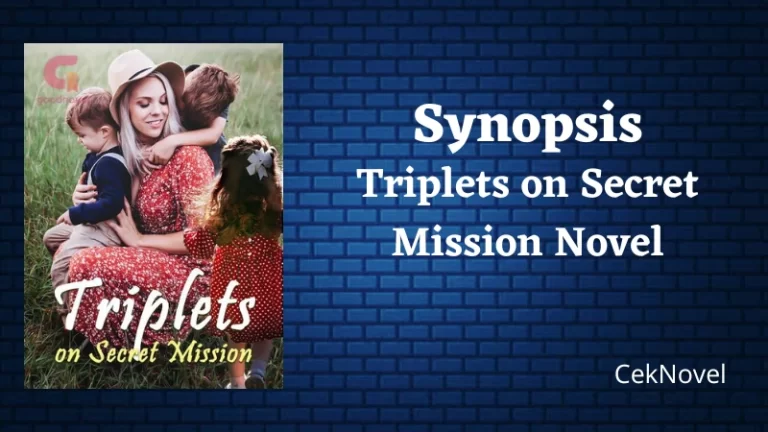 Triplets on Secret Mission Novel