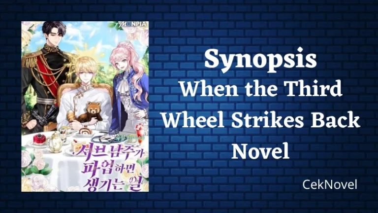 When the Third Wheel Strikes Back Novel