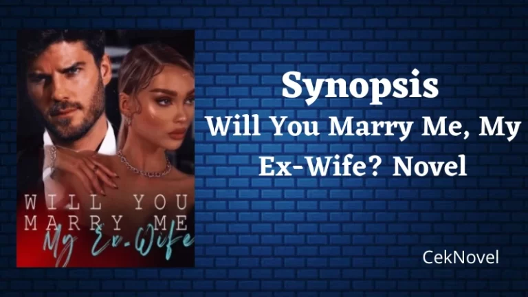 Will You Marry Me My Ex Wife Novel