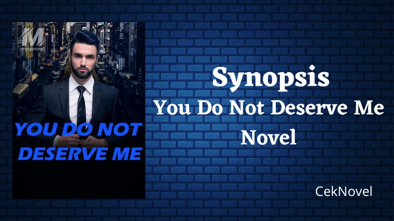 You Do Not Deserve Me Novel