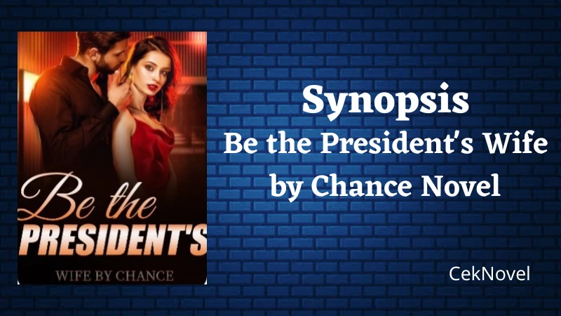 Be the Presidents Wife by Chance Novel