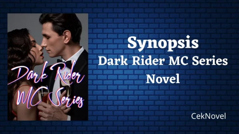 Dark Rider MC Series Novel