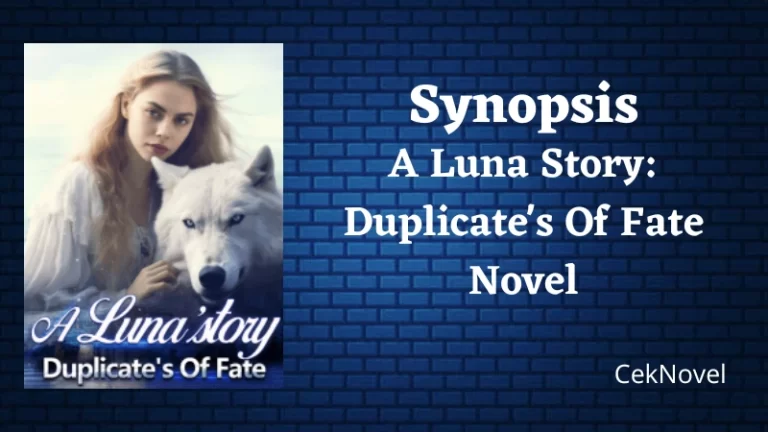 Duplicates Of Fate Novel