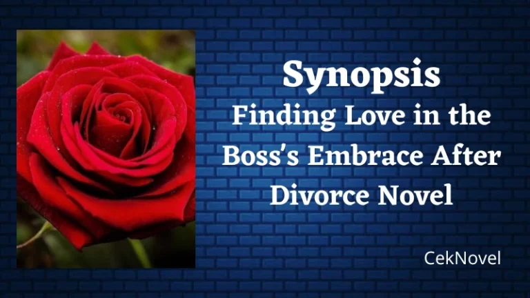 Embrace After Divorce Novel