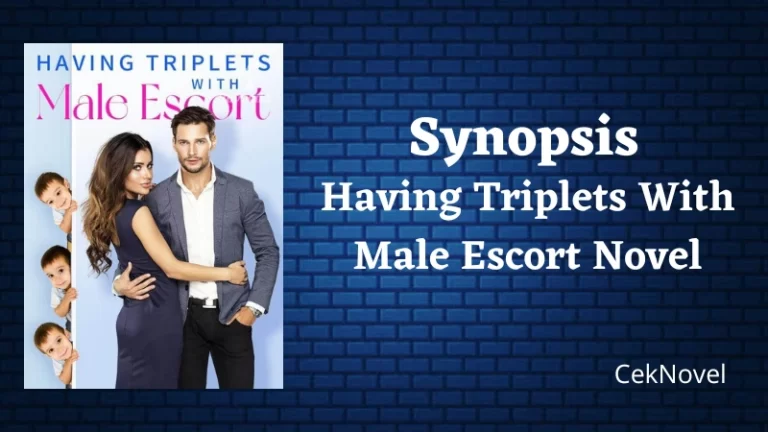 Having Triplets With Male Escort Novel