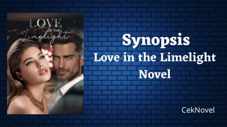 Love in the Limelight Novel