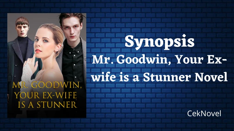 Mr. Goodwin Your Ex wife is a Stunner Novel