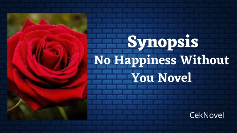 No Happiness Without You Novel