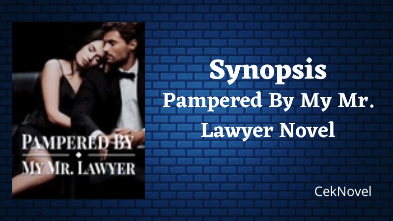 Pampered By My Mr. Lawyer Novel