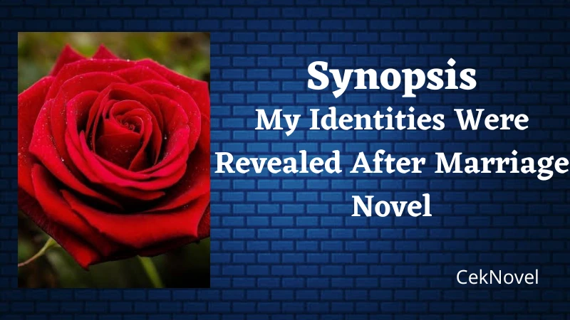 Revealed After Marriage Novel