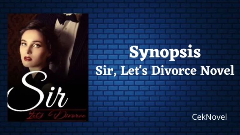 Sir Lets Divorce Novel