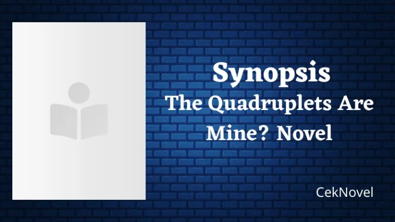 The Quadruplets Are Mine Novel
