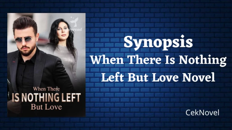 When There Is Nothing Left But Love Novel