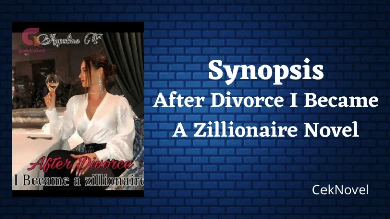 After Divorce I Became A Zillionaire Novel